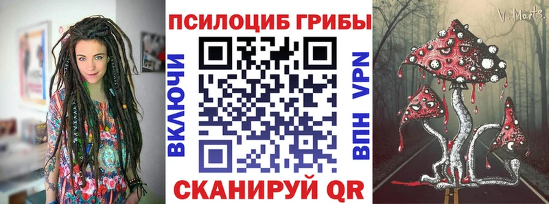 закладка  мега как зайти  Галлюциногенные грибы мухоморы  Красноперекопск 